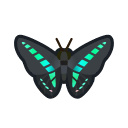 Graphium sarpedon - Animal Crossing : New Horizons (Switch) [ACNH]